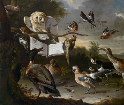 Le concert des oiseaux - Melchior de Hondecoeter